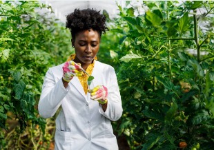 Microbiological Analysis